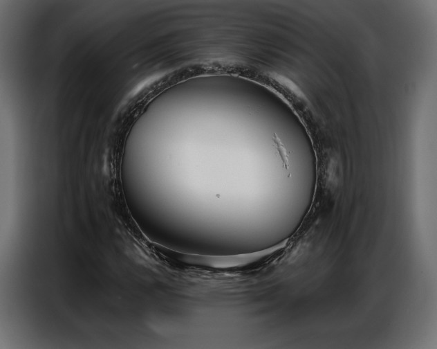 X0000086981112200704161443