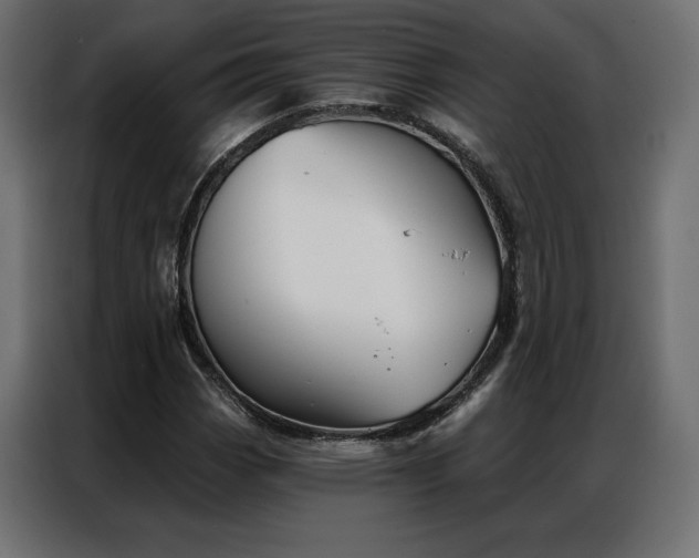 X0000086981113200704161443