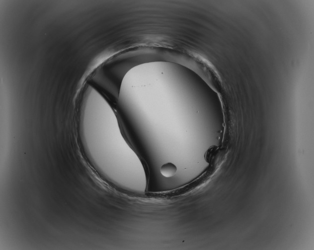 X0000086981114200704161443