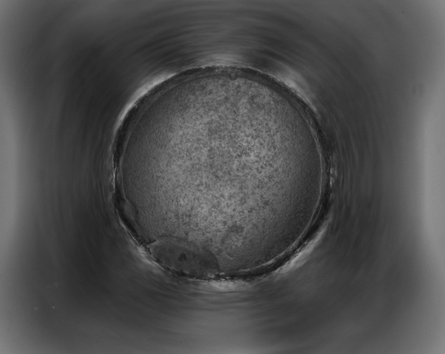 X0000086981117200704161443
