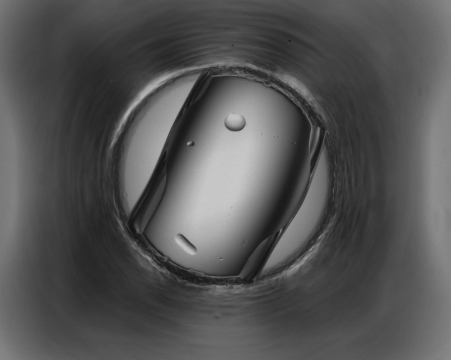 X0000086981118200704161443