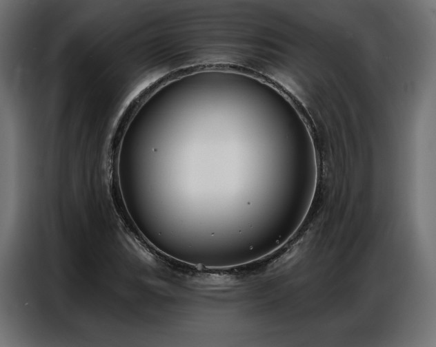 X0000086981119200704161443