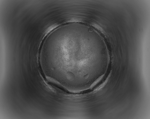 X0000086981121200704161443