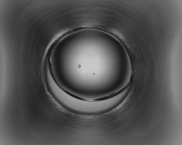 X0000086981122200704161443