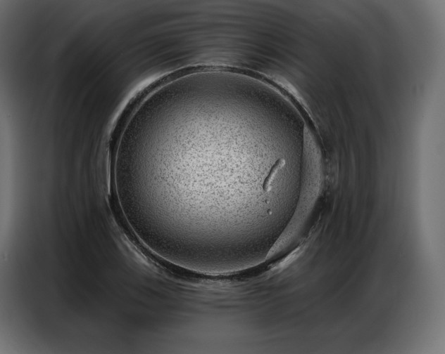 X0000086981123200704161443