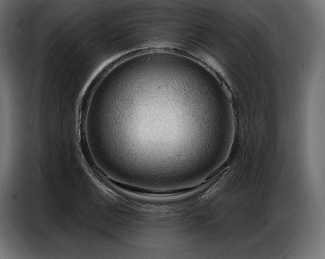 X0000086981124200704161443