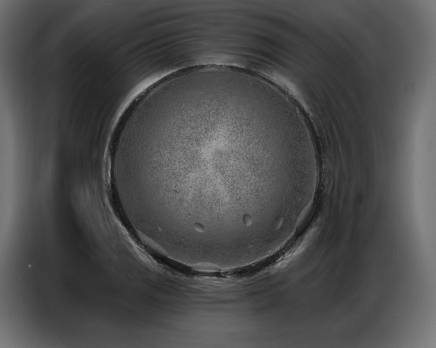 X0000086981125200704161443