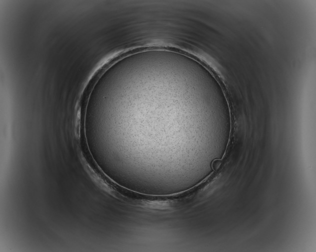 X0000086981126200704161443