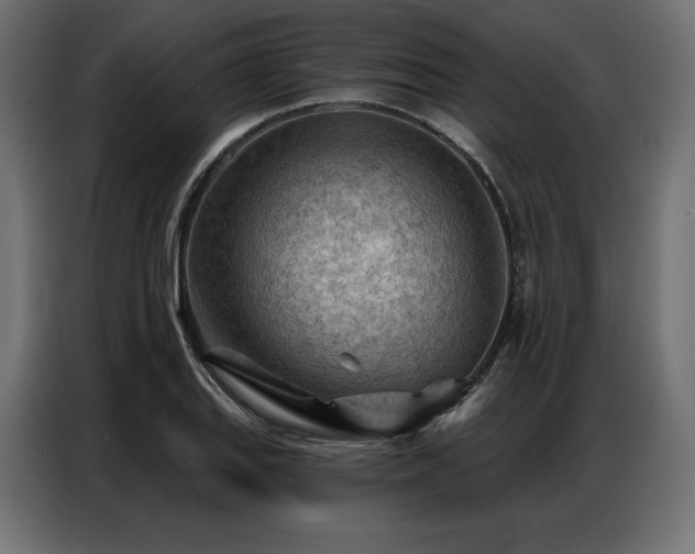 X0000086981127200704161443