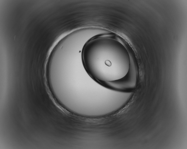 X0000086981128200704161443