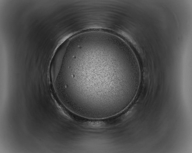 X0000086981129200704161443
