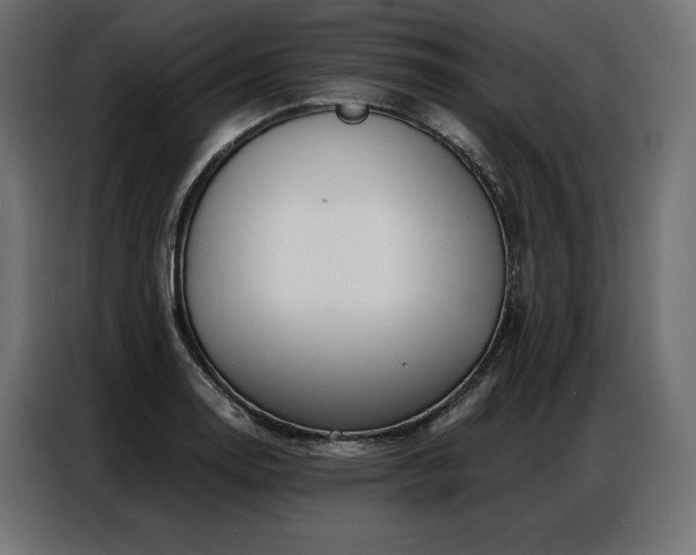 X0000086981130200704161443