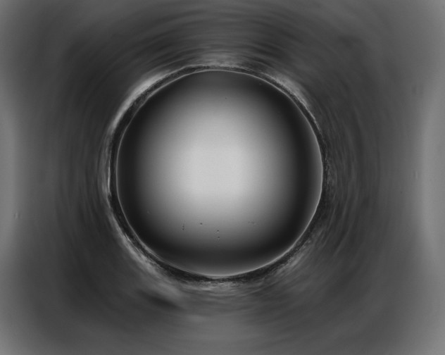 X0000086981131200704161443
