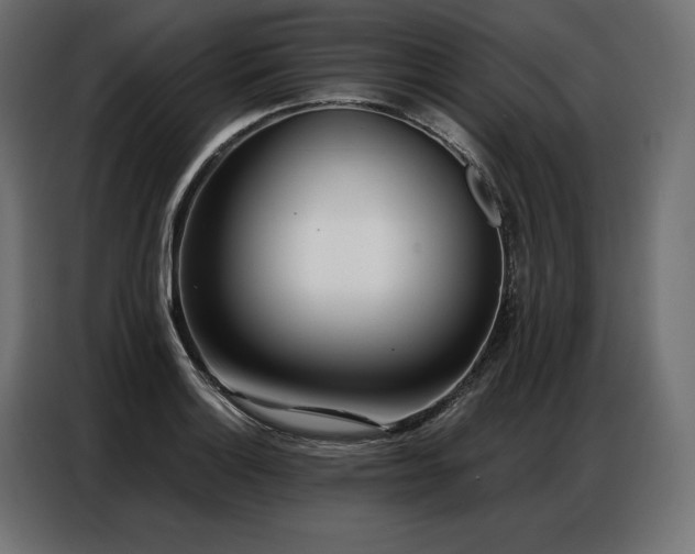 X0000086981132200704161443