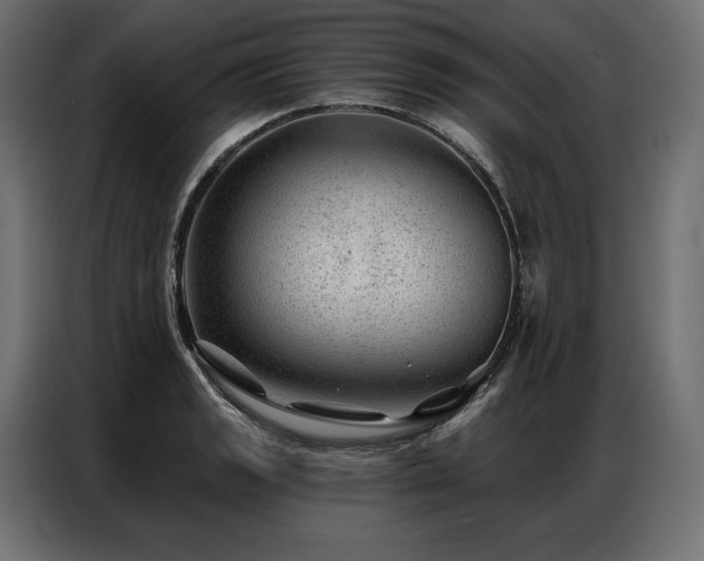 X0000086981133200704161443