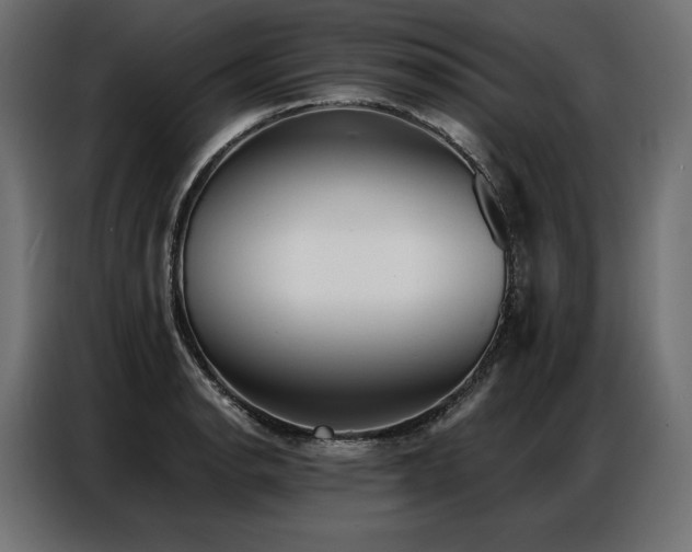 X0000086981134200704161443