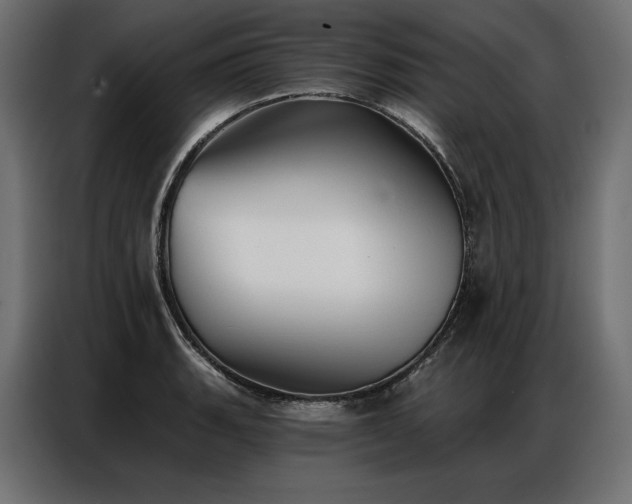 X0000086981135200704161443