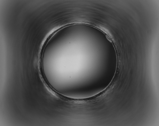X0000086981136200704161443