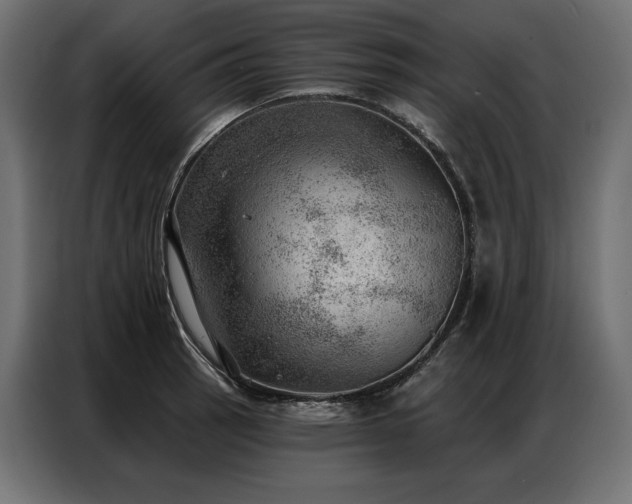 X0000086981137200704161443
