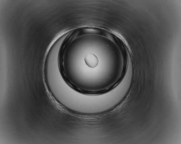 X0000086981138200704161443