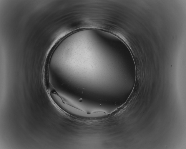 X0000086981139200704161443