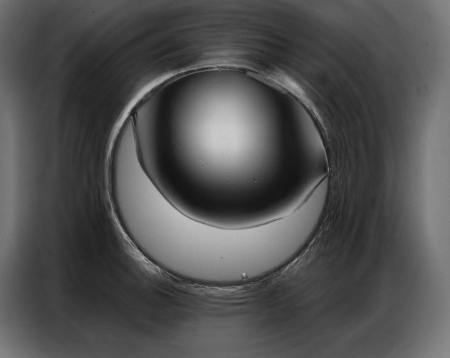 X0000086981140200704161443