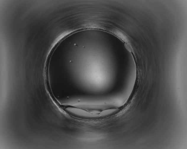 X0000086981141200704161443