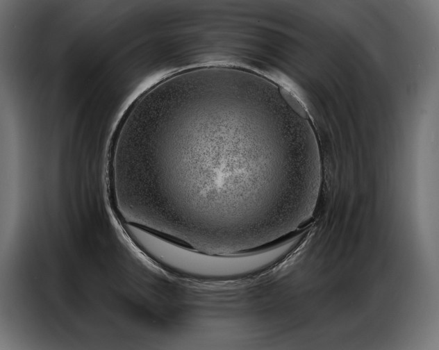 X0000086981142200704161443