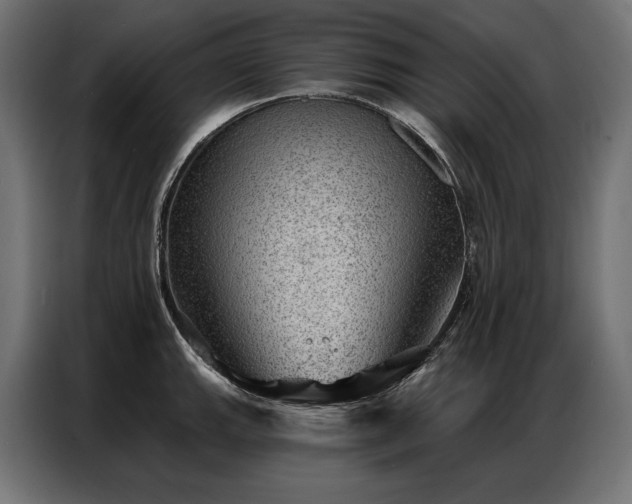X0000086981143200704161443