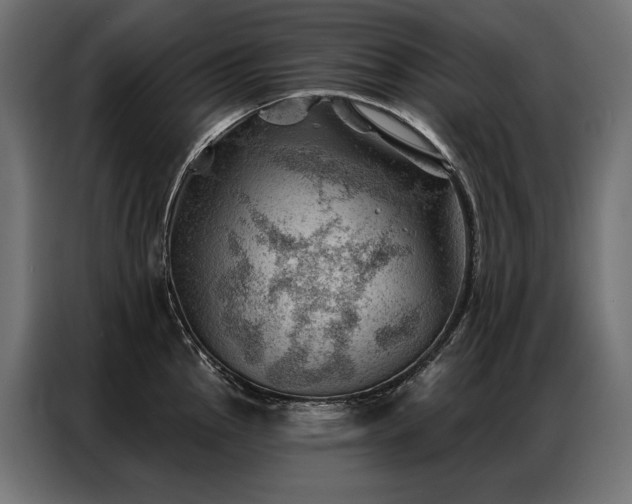 X0000086981145200704161443