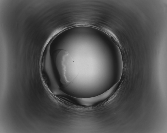 X0000086981146200704161443