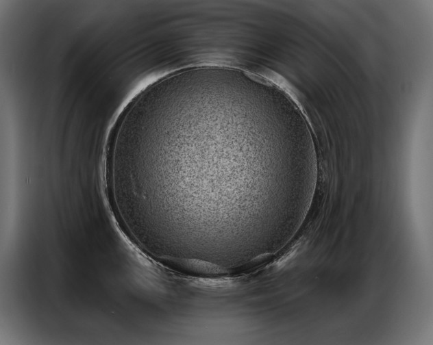 X0000086981147200704161443