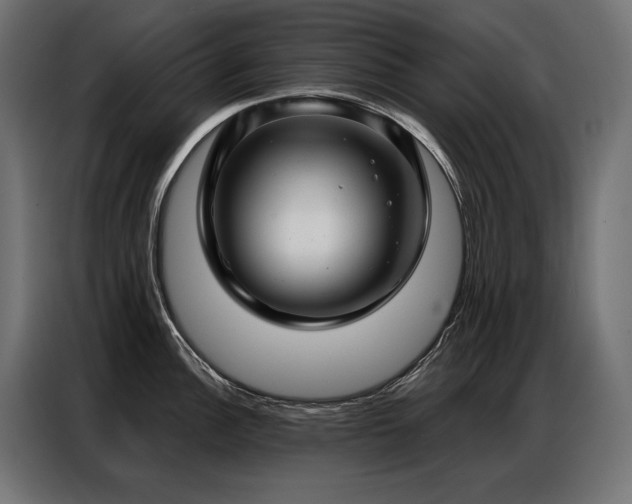 X0000086981148200704161444