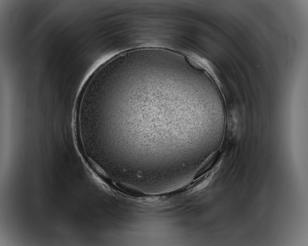 X0000086981149200704161444