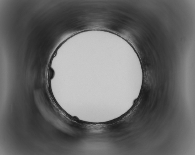 X0000086981150200704161444