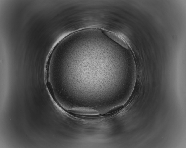 X0000086981151200704161444