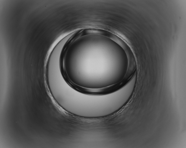 X0000086981152200704161444