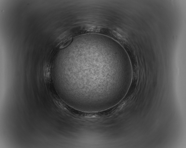 X0000086981154200704161443