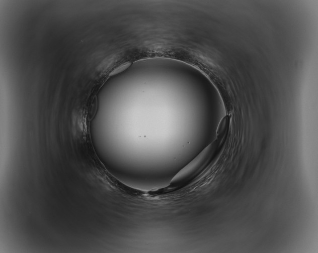 X0000086981155200704161443