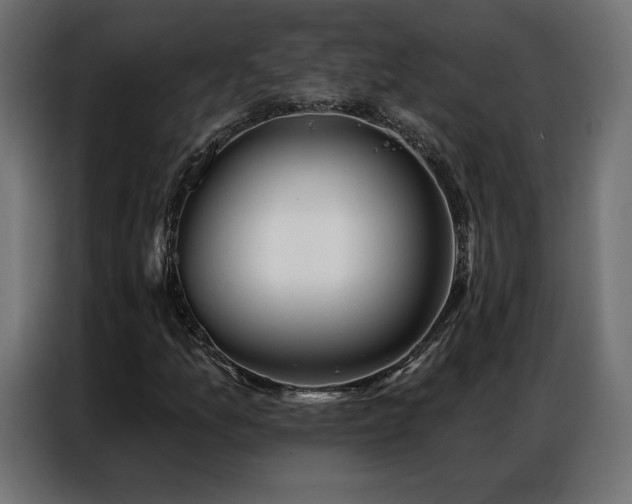 X0000086981157200704161443