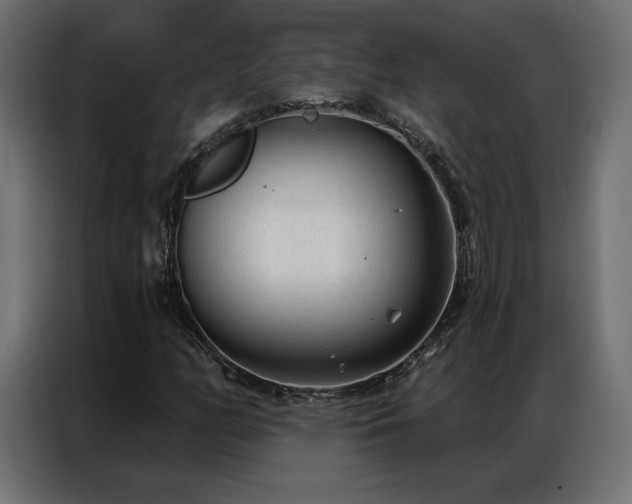 X0000086981158200704161443