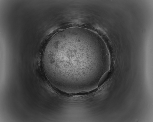 X0000086981159200704161443