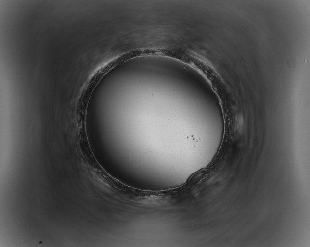 X0000086981160200704161443
