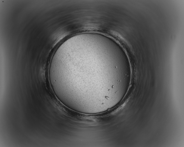 X0000086981162200704161443