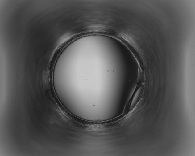 X0000086981164200704161443