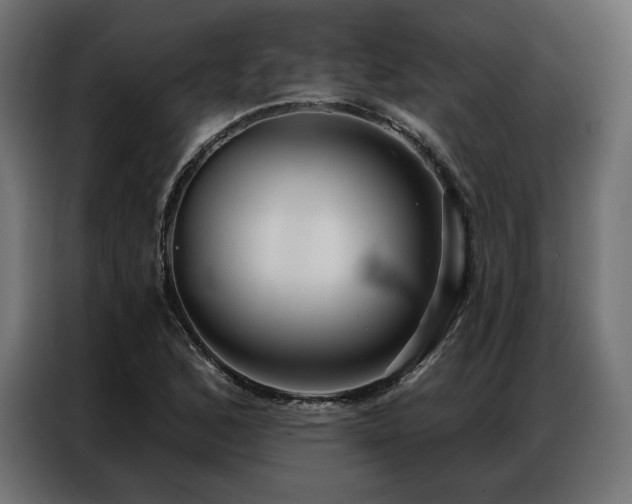 X0000086981168200704161443
