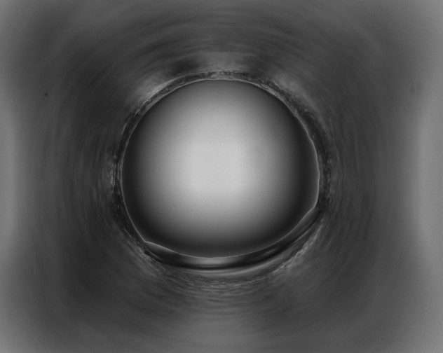 X0000086981169200704161443