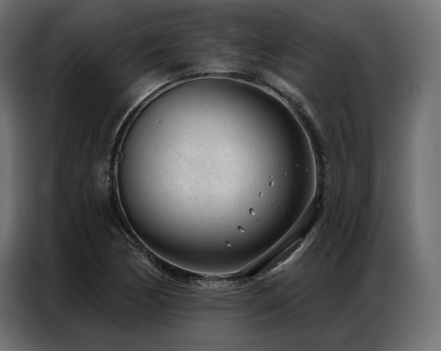 X0000086981170200704161443