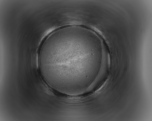 X0000086981171200704161443