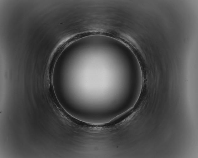 X0000086981172200704161443